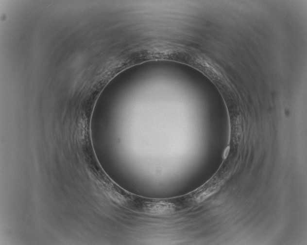 X0000061730463200512091549