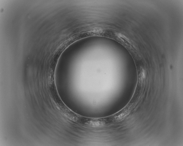 X0000061730464200512091549