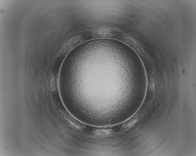 X0000061730465200512091549