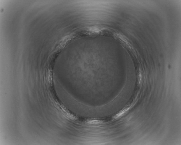 X0000061730467200512091549