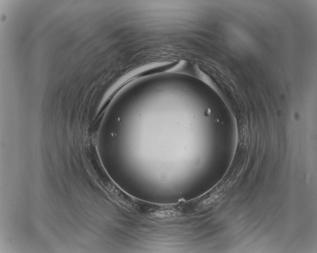 X0000061730468200512091549