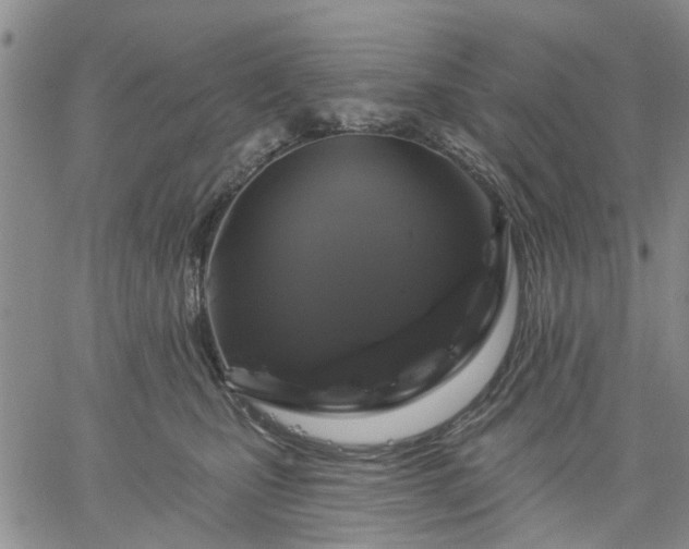 X0000061730471200512091549