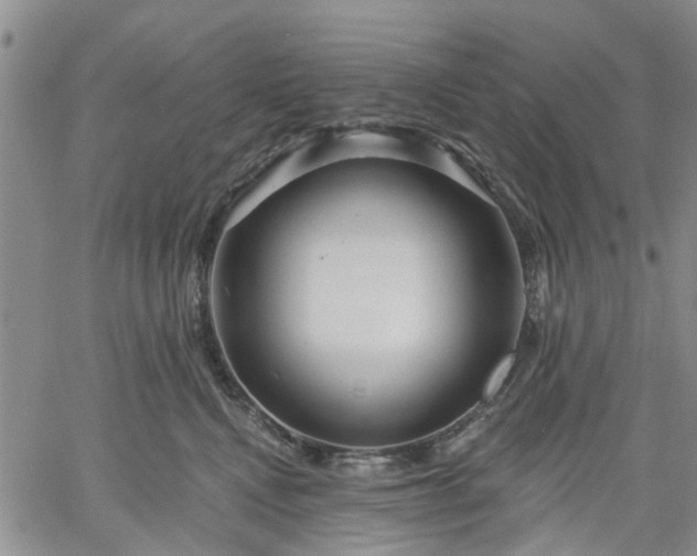 X0000061730472200512091549