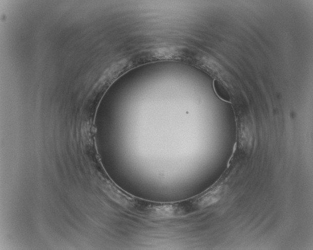 X0000061730473200512091549