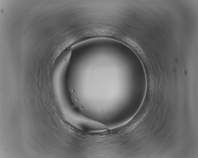 X0000061730481200512091549