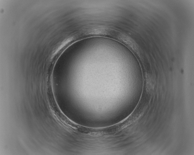 X0000061730482200512091549