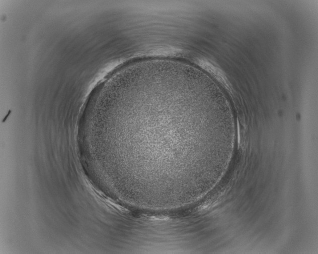 X0000061730483200512091549