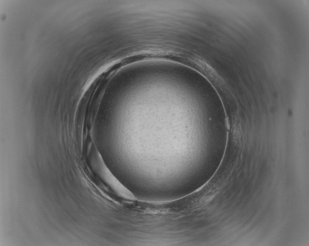 X0000061730484200512091549