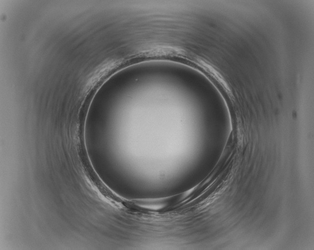 X0000061730485200512091549