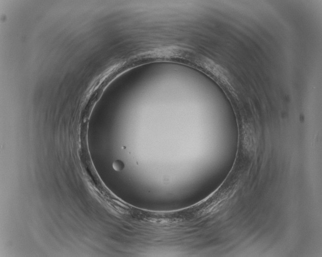 X0000061730486200512091549