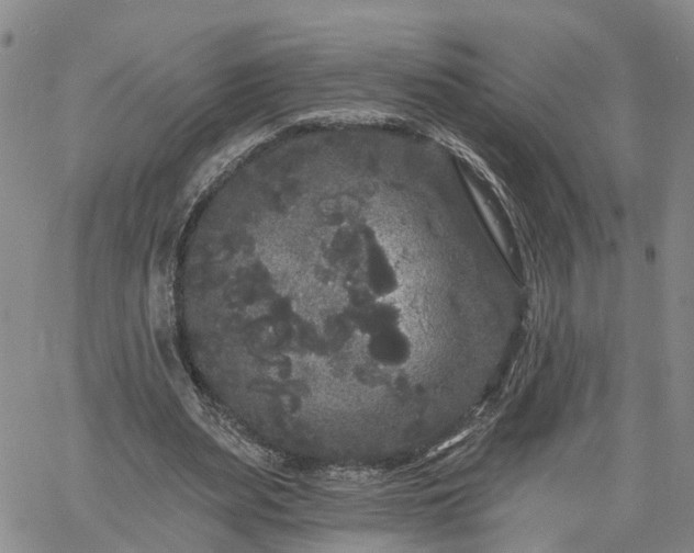 X0000061730487200512091549