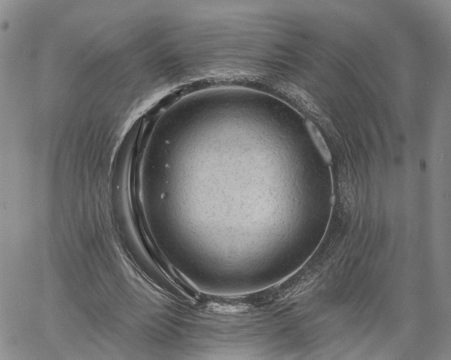 X0000061730488200512091549