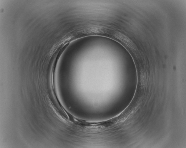 X0000061730489200512091549