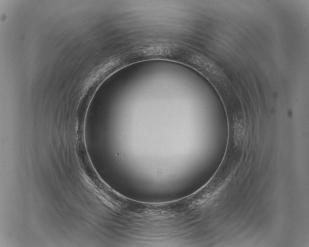 X0000061730490200512091549