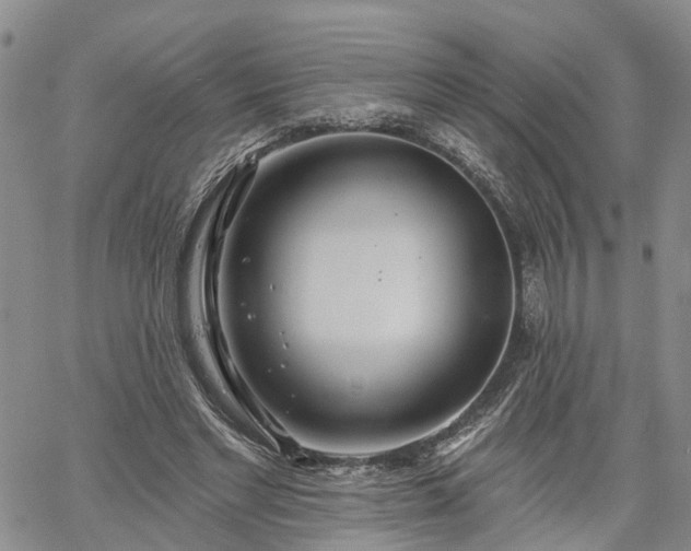 X0000061730493200512091549