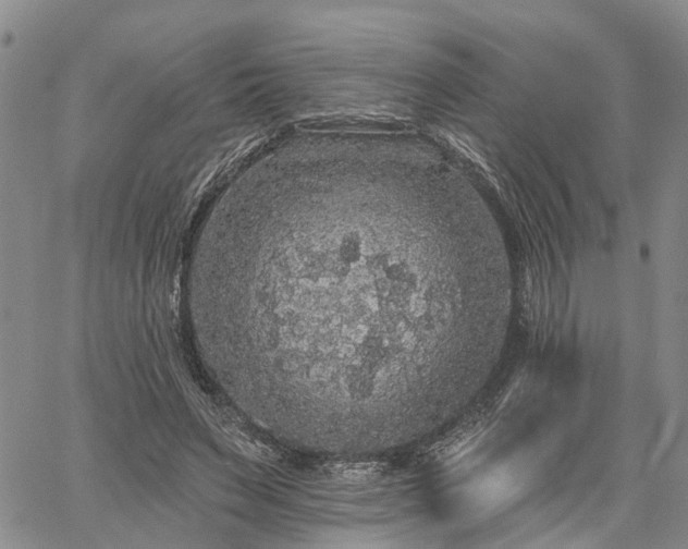 X0000061730495200512091549