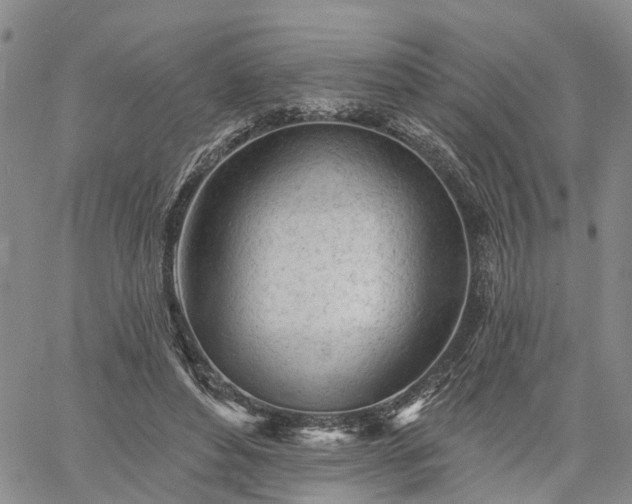 X0000061730496200512091549