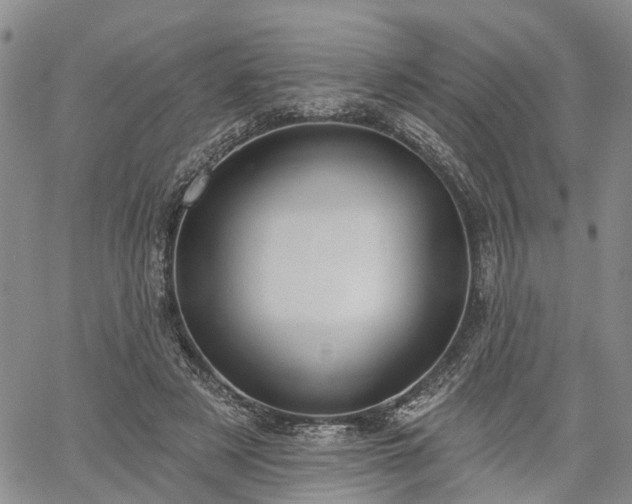 X0000061730497200512091549