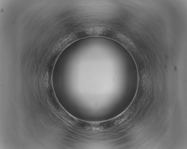 X0000061730498200512091549