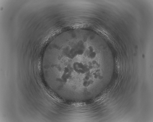 X0000061730499200512091549