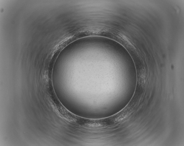 X0000061730500200512091549