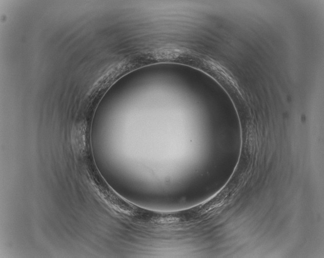 X0000061730501200512091548