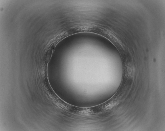 X0000061730505200512091548