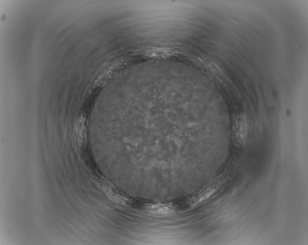 X0000061730511200512091548