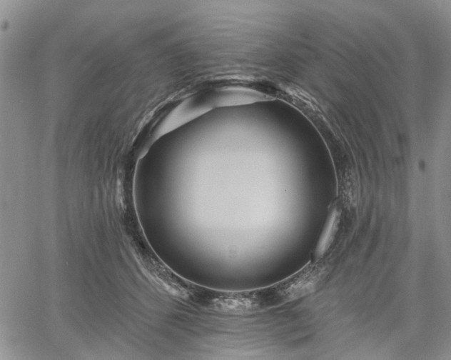 X0000061730512200512091548