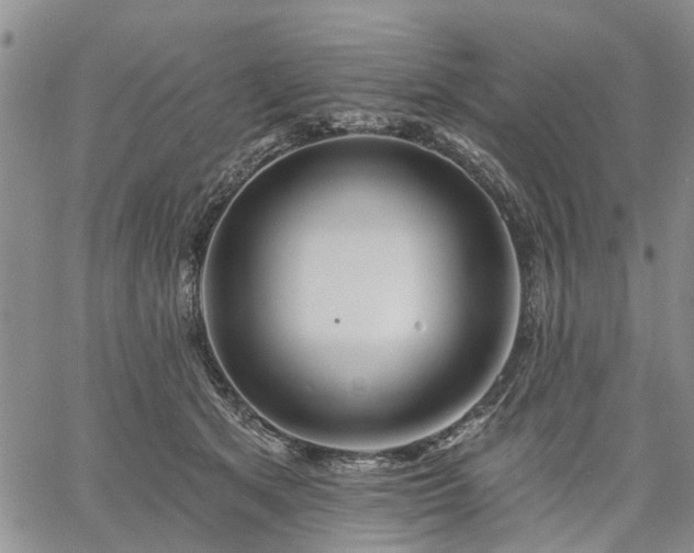 X0000061730513200512091548