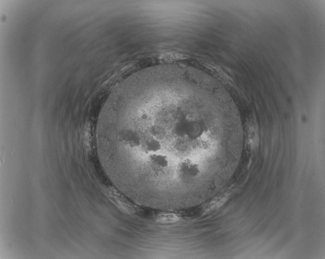 X0000061730519200512091548