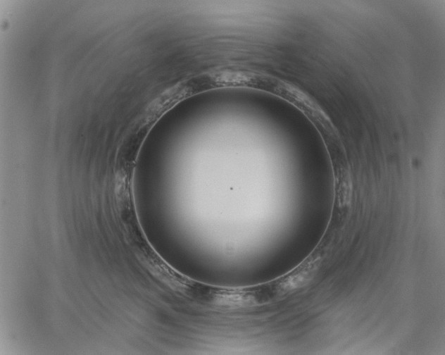 X0000061730521200512091548