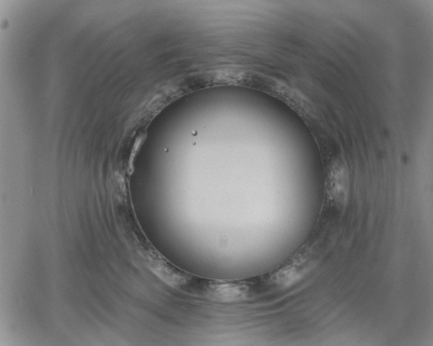 X0000061730522200512091548