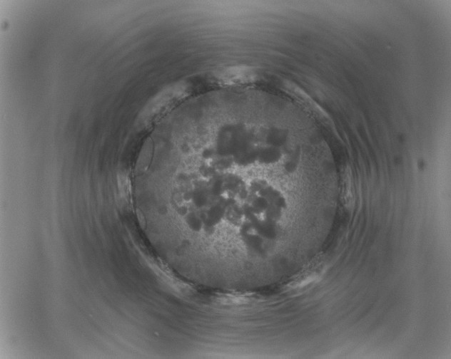 X0000061730523200512091548