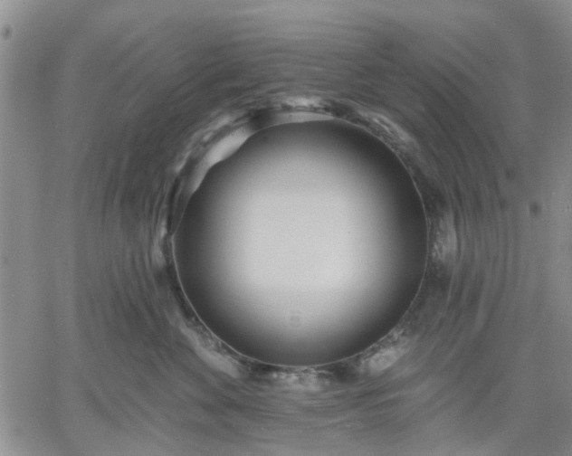 X0000061730524200512091548