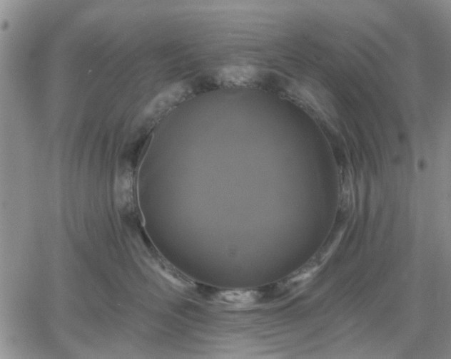 X0000061730526200512091548