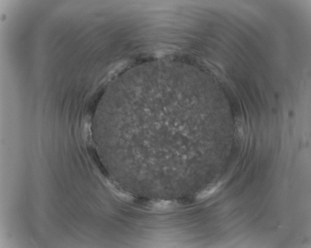 X0000061730527200512091548