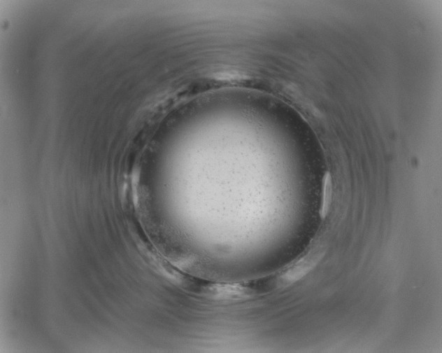 X0000061730528200512091548