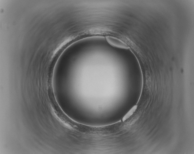 X0000061730530200512091547