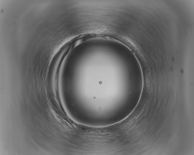 X0000061730532200512091547