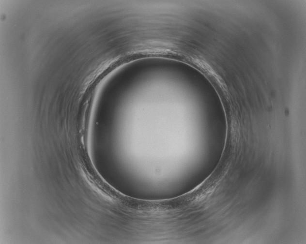 X0000061730533200512091547