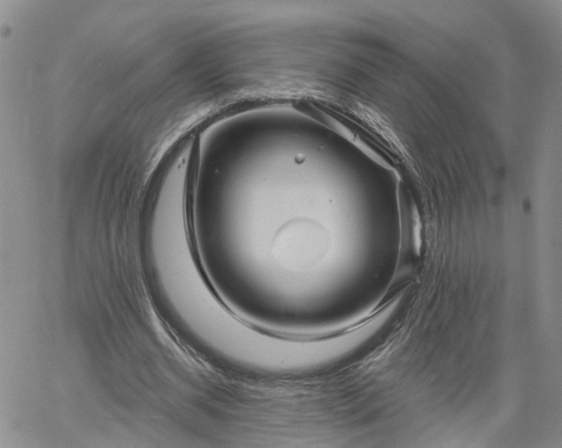 X0000061730534200512091547