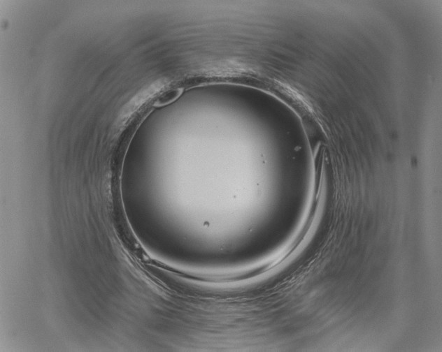 X0000061730535200512091547