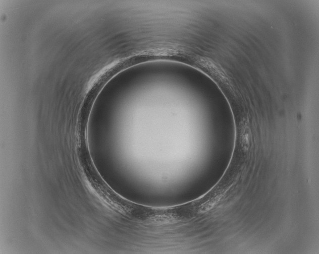 X0000061730536200512091547