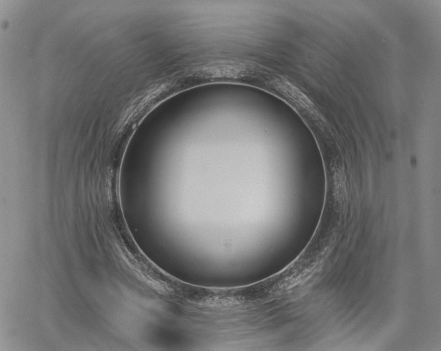 X0000061730537200512091547