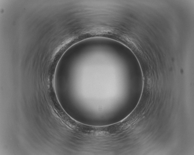 X0000061730539200512091547