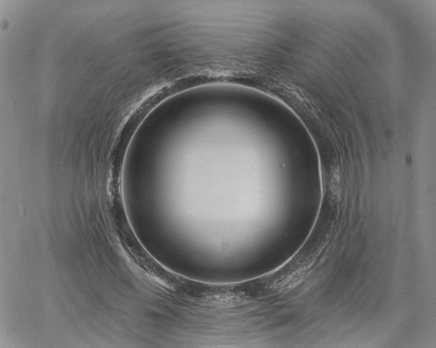 X0000061730540200512091547