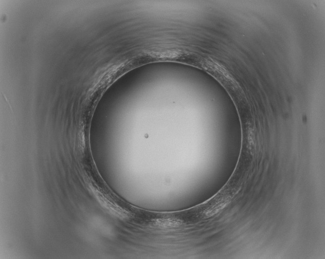 X0000061730541200512091547