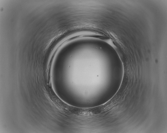 X0000061730543200512091547