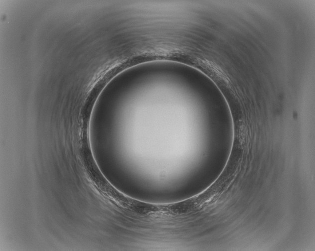 X0000061730544200512091548